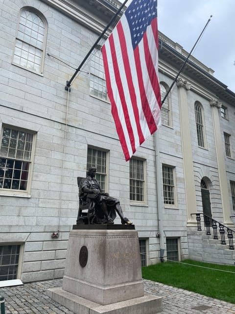 undefined Gallery Image 4