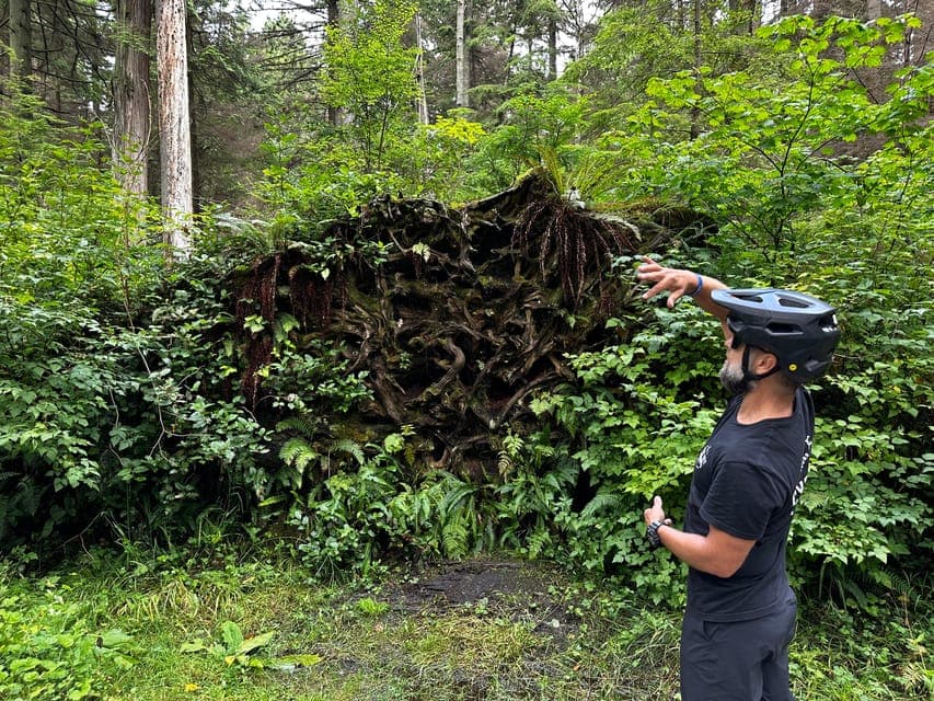 undefined Gallery Image 2