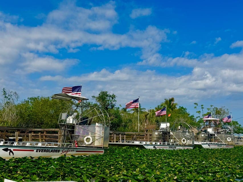 undefined Gallery Image 2