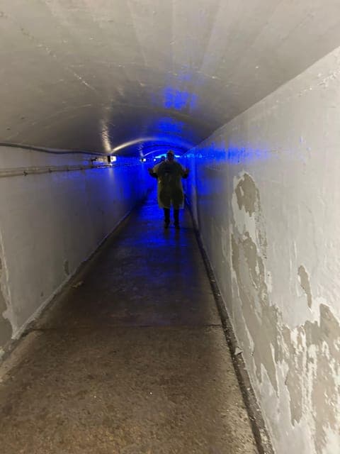 undefined Gallery Image 3