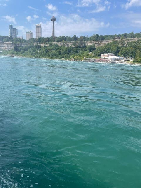 undefined Gallery Image 3