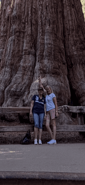 undefined Gallery Image 4