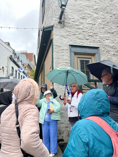 undefined Gallery Image 1