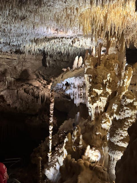 undefined Gallery Image 1