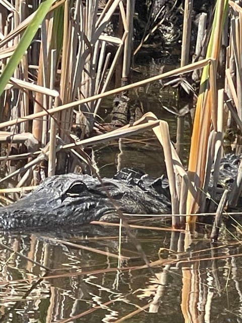 undefined Gallery Image 3