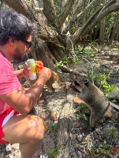 undefined Gallery Image 4