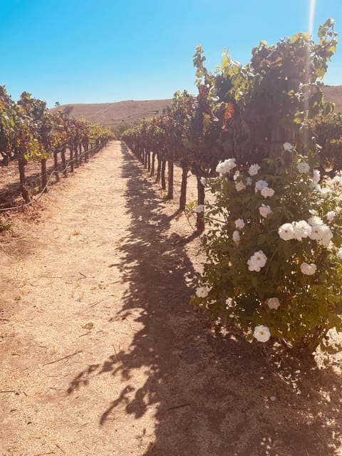 undefined Gallery Image 2