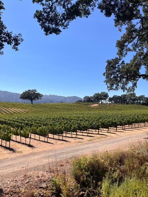 undefined Gallery Image 1