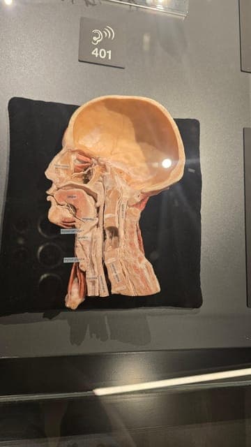 undefined Gallery Image 4