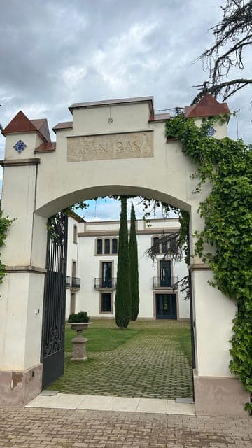 undefined Gallery Image 3