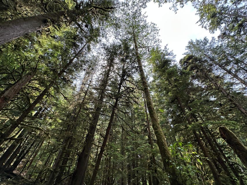 undefined Gallery Image 2