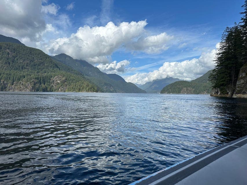 undefined Gallery Image 3