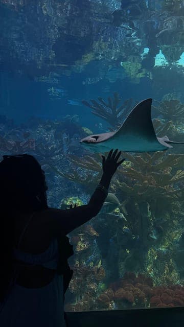 undefined Gallery Image 1