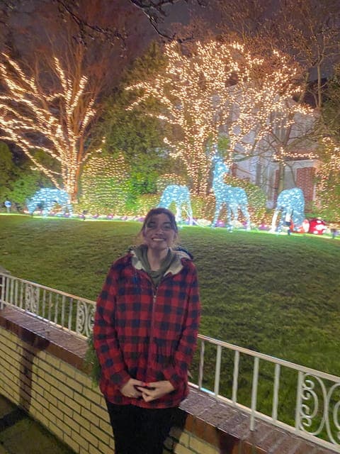 undefined Gallery Image 3