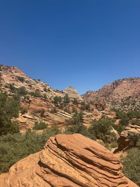 undefined Gallery Image 1