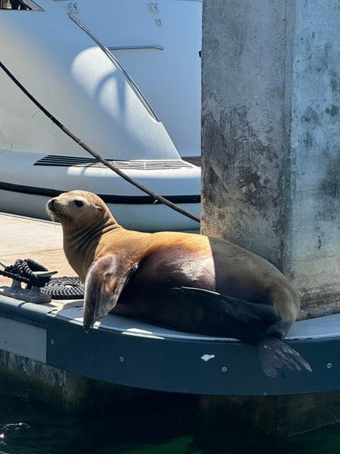 undefined Gallery Image 3