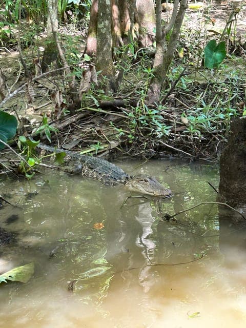 undefined Gallery Image 4