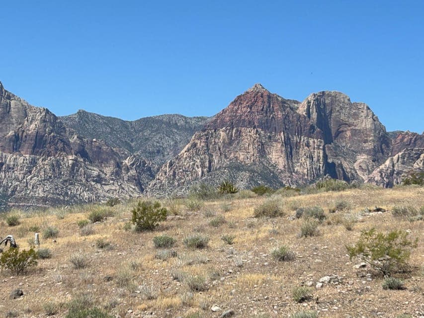 undefined Gallery Image 4