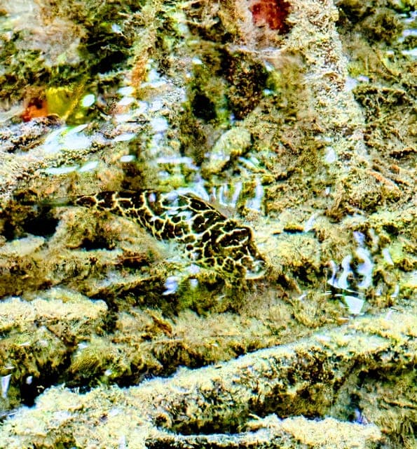 undefined Gallery Image 3