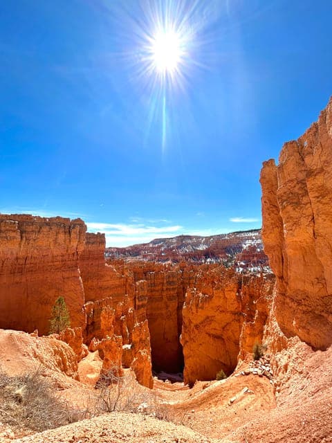 undefined Gallery Image 4