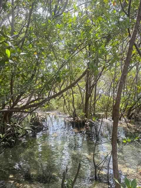 undefined Gallery Image 3