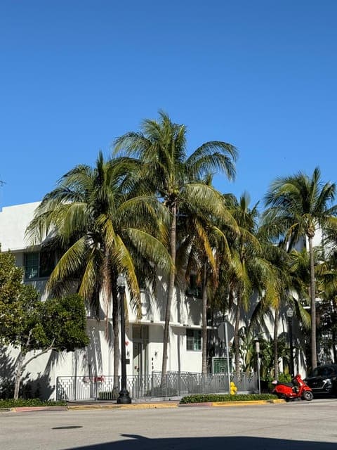 undefined Gallery Image 4