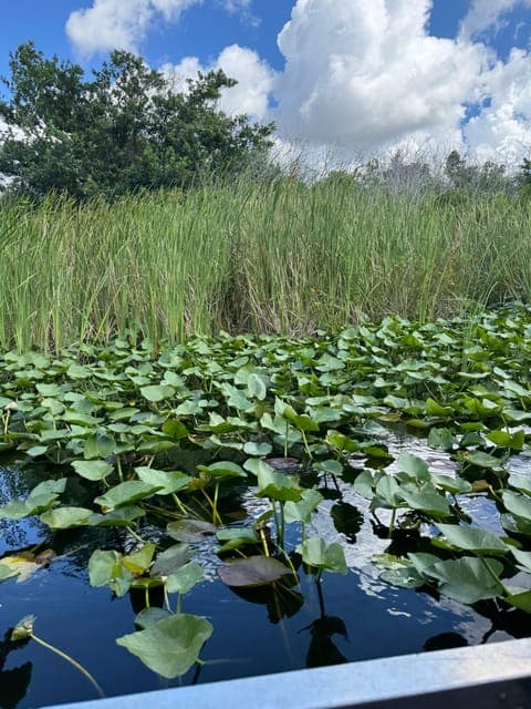 undefined Gallery Image 1