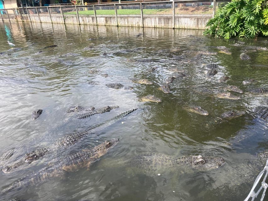 undefined Gallery Image 4