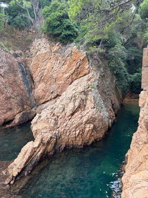 undefined Gallery Image 1