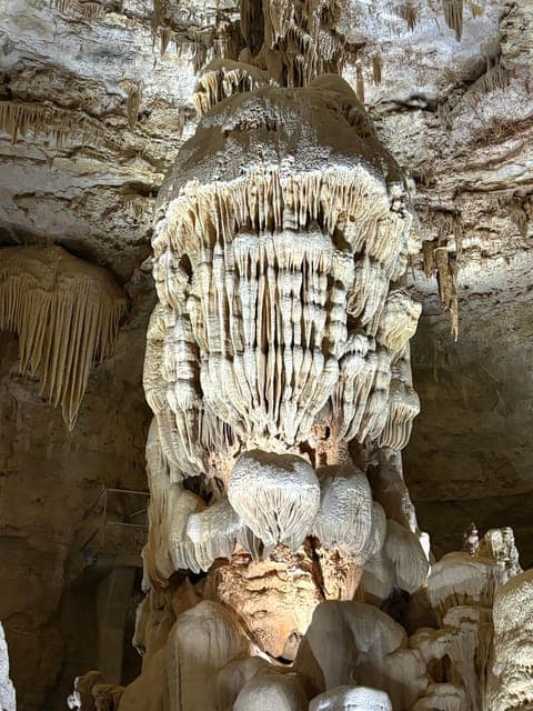 undefined Gallery Image 3