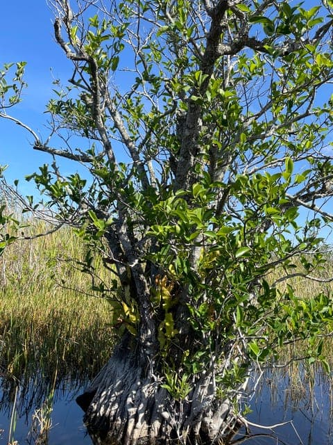 undefined Gallery Image 1