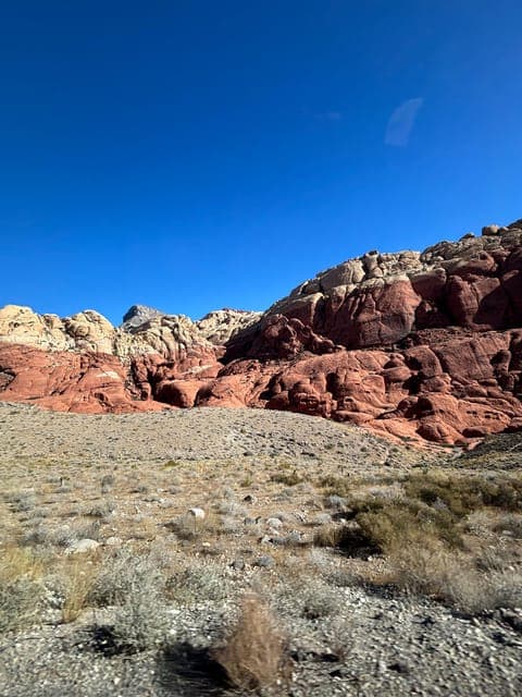 undefined Gallery Image 1