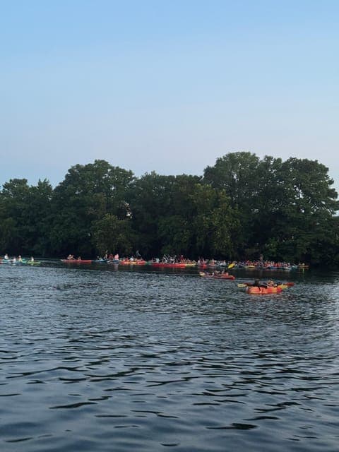 undefined Gallery Image 4