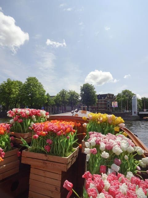 undefined Gallery Image 3