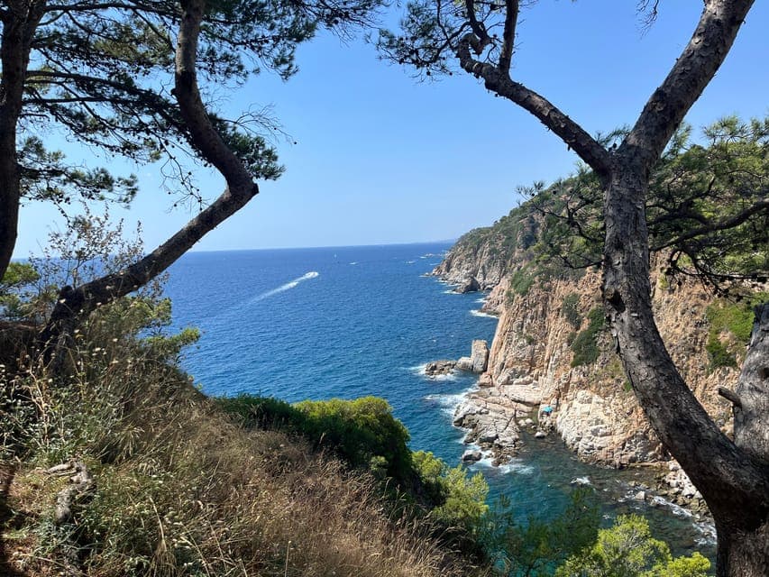 undefined Gallery Image 4