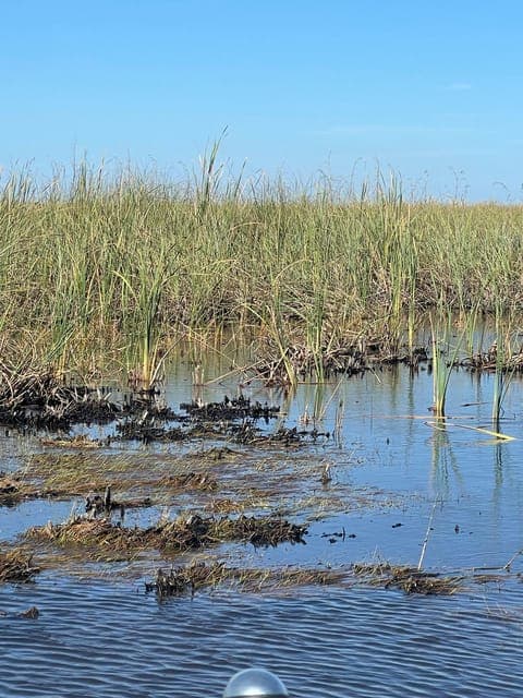 undefined Gallery Image 2