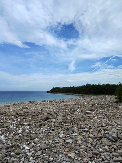 undefined Gallery Image 4