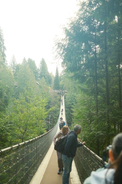 undefined Gallery Image 1