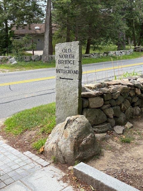 undefined Gallery Image 4