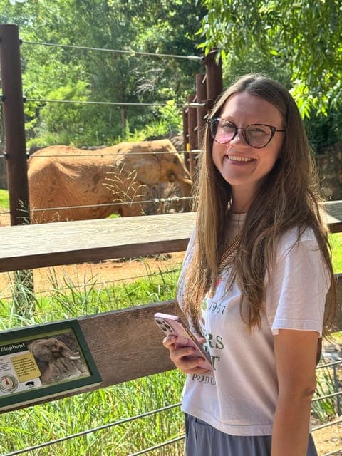 undefined Gallery Image 2