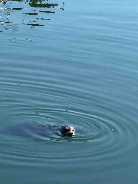 undefined Gallery Image 2