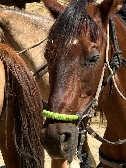 undefined Gallery Image 2