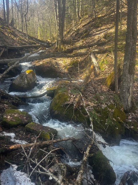 undefined Gallery Image 3