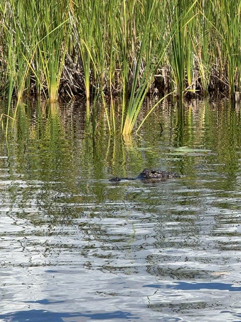 undefined Gallery Image 2