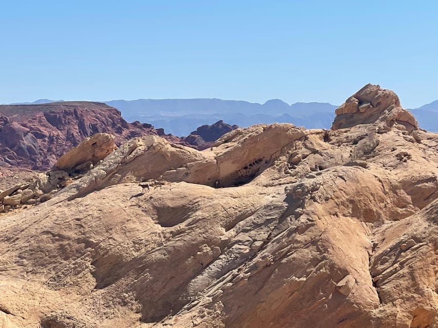 undefined Gallery Image 2