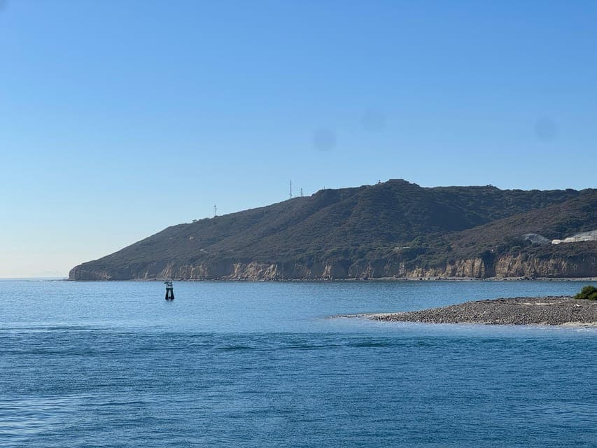 undefined Gallery Image 4