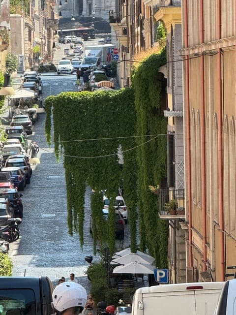 undefined Gallery Image 1