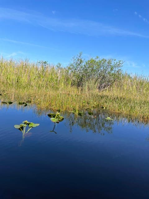 undefined Gallery Image 2