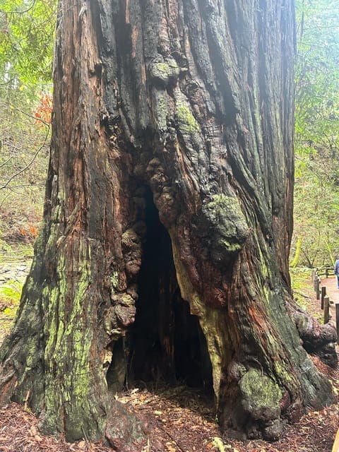 undefined Gallery Image 4