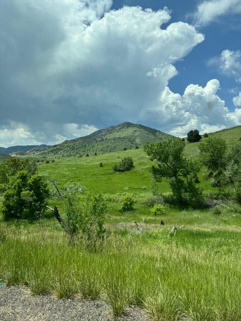 undefined Gallery Image 3